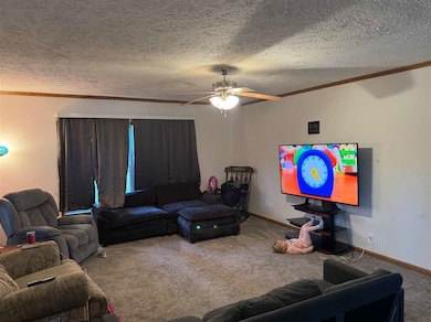 3899 Miami Beach Dr, Cheboygan, MI 49721 - photo 4