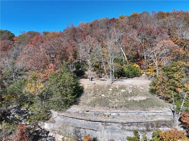 0 Tbd Tract 5 Dam Site Loop, Garfield, AR 72732 - photo 4