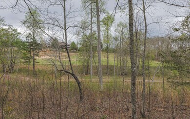 Additional View