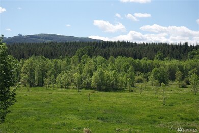 18333 Bald Hill Rd SE, Yelm, WA 98597 - photo 7