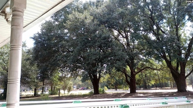 1123 Pine St, West Columbia, SC 29172 - photo 5