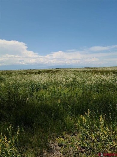 TBD Rd Road 112 S, Alamosa, CO 81101 - photo 3