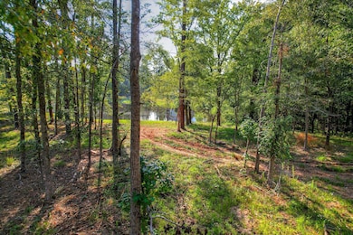 Beautiful Hardwoods and Pines