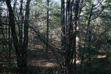 40 Via Pioli Rd, Kerhonkson, NY 12446 - photo 6