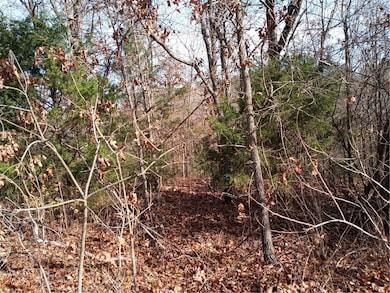 Lot#15 Fountainhall Ln, Bella Vista, AR 72715 - photo 2