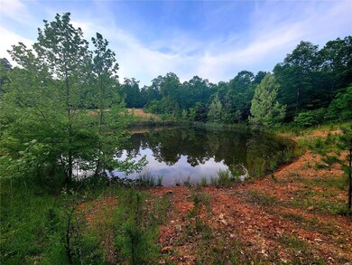 0 County Road 456, Beaver Dam Township, MO 63901 - photo 5