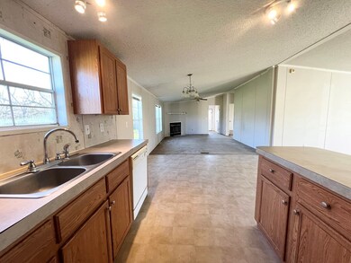 232 Bowles St SW, Baconton, GA 31716 - photo 4