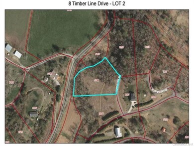 8 Timber Hill Dr unit LOT 2, Leicester, NC 28748 - photo 6