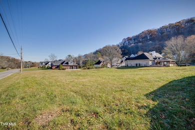 Tbd Leaf Point, Kingsport, TN 37663 - photo 7