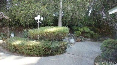 Park Like backyard