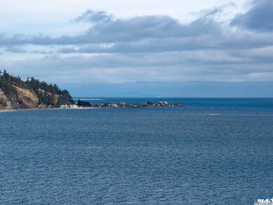 398 Daisey King Rd, Sequim, WA 98382 - photo 6