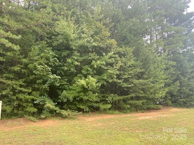 241 Ashmore Cir, Troutman, NC 28166 - photo 2