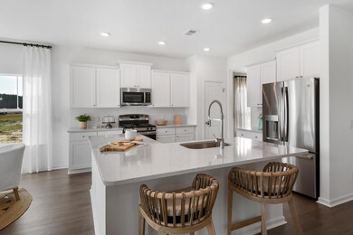 271 Tuscan Sun St, Ridgeville, SC 29472 - photo 6