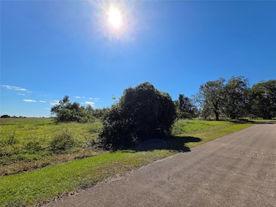 0 Wagon Wheel Trail unit 20641134, Angleton, TX 77515 - photo 4