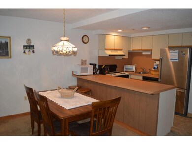 14 Snow Tree Ln unit G, West Dover, VT 05356 - photo 7