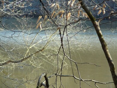 9 Southview Dr, Anderson, SC 29621 - photo 3