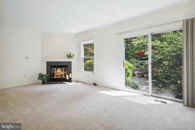 9033 Saffron Ln, Silver Spring, MD 20901 - photo 6