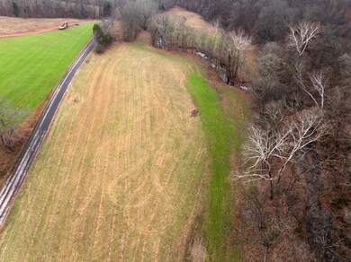 0 Shelter Branch Rd, Cumberland Furnace, TN 37051 - photo 6