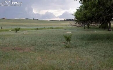 View of local wilderness featuring a rural view