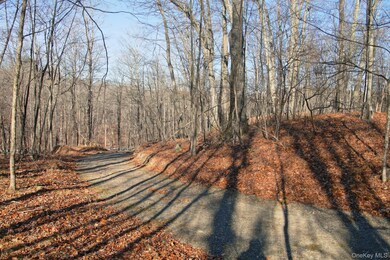 0 Electronics Rd, Clinton Corners, NY 12514 - photo 6