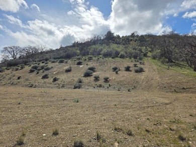 Lot 20 Shamrock Acres, Yreka, CA 96097 - photo 3