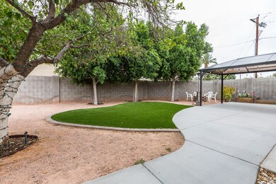 29) BACKYARD