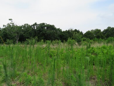 0 Lake Bluff Rd unit RTC2414057, Baxter, TN 38544 - photo 5