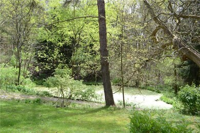 Pond