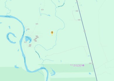 Pine St, Cleveland, TX 77327 - photo 5