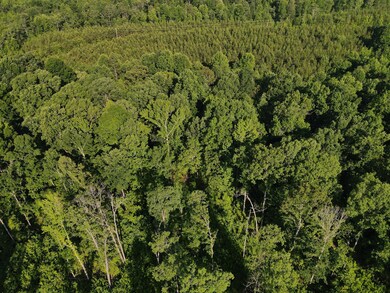 0 Old Highway 18 unit RTC2558184, Stewart, TN 37175 - photo 6