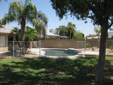 Shade Tree & Pool Area
