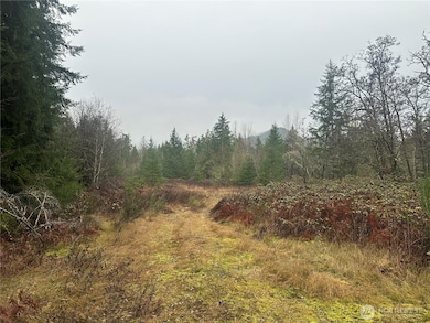 1 Concrete Sauk Valley Rd, Concrete, WA 98237 - photo 6