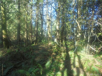 8000 Center Rd, Quilcene, WA 98376 - photo 5