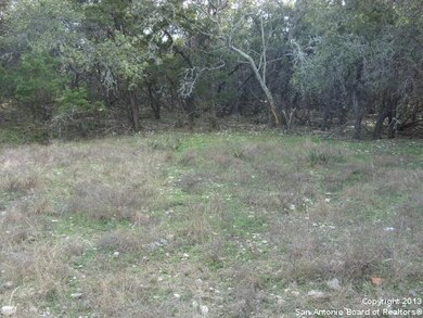 9030 Saddle Trail, San Antonio, TX 78255 - photo 6