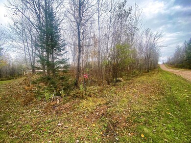 N9466 Ross Rd, Tripoli, WI 54564 - photo 4