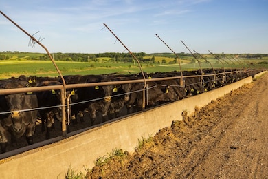 64919 Yankton Rd, Villisca, IA 50864 - photo 6