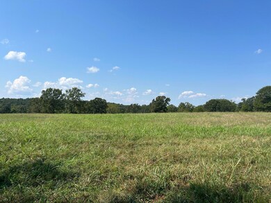 14442 State Highway Af, Ava, MO 65608 - photo 7