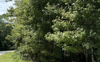 222 SW Loncala Loop, Fort White, FL 32038 - photo 2