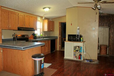 S County Road 4, Alamosa, CO 81101 - photo 5