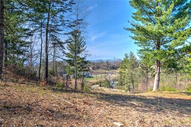 75 Magnolia Farms Dr unit 14, Asheville, NC 28806 - photo 7