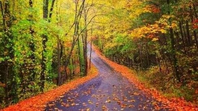 0 S Maple Dr unit 7689036, Jasper, GA 30143 - photo 6