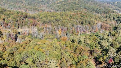 0 Wilderness End NW unit CM1022226, Clarkesville, GA 30523 - photo 5