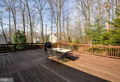 6413 Forest Grove Dr, Fredericksburg, VA 22407 - photo 6