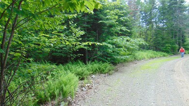DSC03998