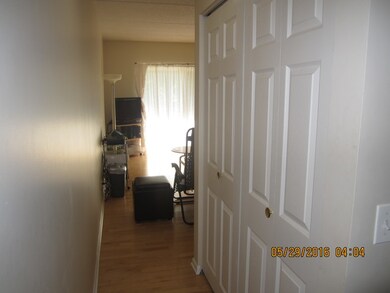 111 N Larch Ave unit 207, Elmhurst, IL 60126 - photo 6