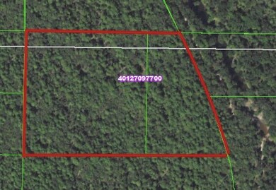 215P&Q Tram Trail, Moyers, OK 74523 - photo 5