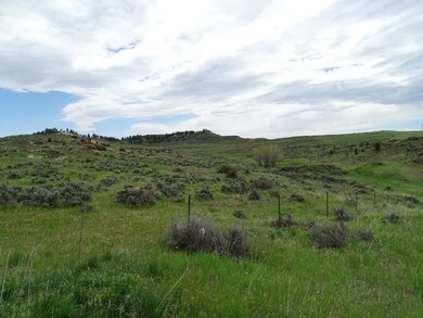 Cottonwood Patch