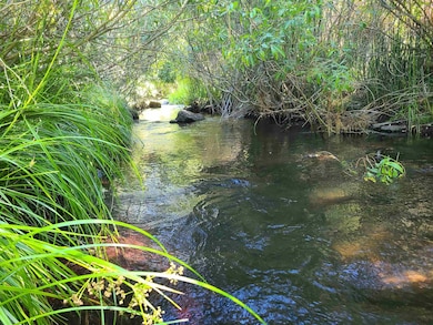 598 Longhorn Dr, Loyalton, CA 96118 - photo 3