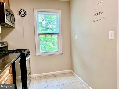 6508 Boulevard View unit C2, Alexandria, VA 22307 - photo 6