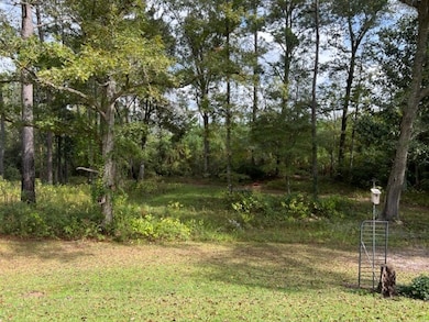 267 Providence Rd, Whigham, GA 39897 - photo 6